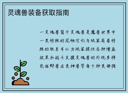 灵魂兽装备获取指南