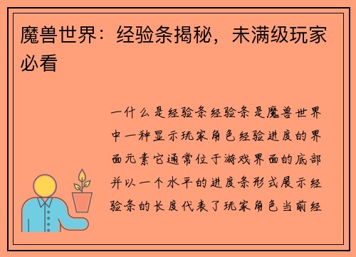 魔兽世界：经验条揭秘，未满级玩家必看